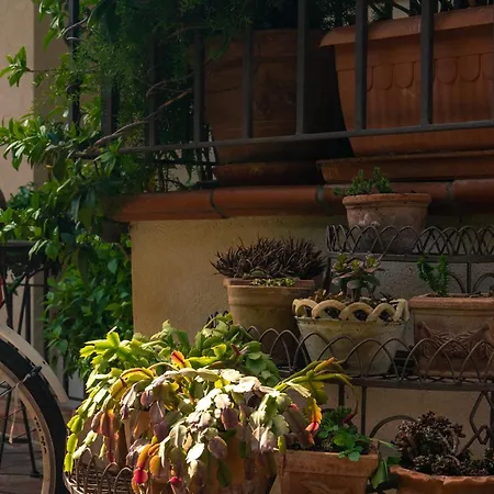 Apartment Antichi Ulivi